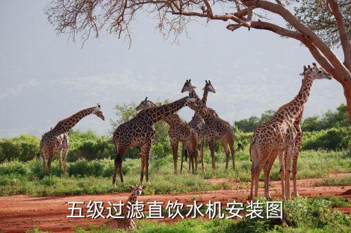 五級(jí)過(guò)濾直飲水機(jī)安裝圖