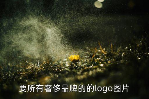 要所有奢侈品牌的的logo圖片