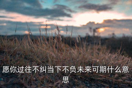 過(guò)往不究 未來(lái)可期下一句，往日不可追來(lái)日定可期
