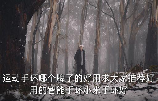 智能手環(huán)排名第一，哪個智能手環(huán)的牌子最好