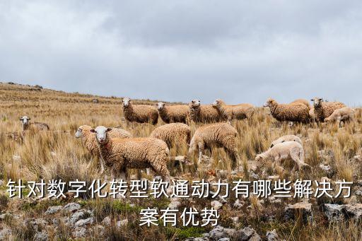 數(shù)字化轉(zhuǎn)型的三個(gè)賦能舉措，為完成數(shù)字化轉(zhuǎn)型發(fā)采取了哪些工作措施