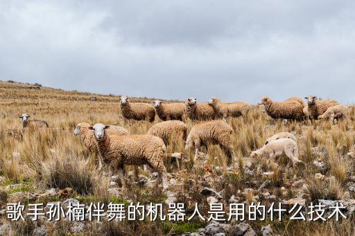 歌手孫楠伴舞的機器人是用的什么技術(shù)