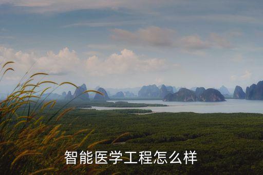 智能醫(yī)學(xué)工程缺點(diǎn)，ud的缺點(diǎn)都有什么