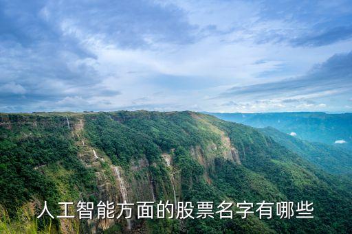 人工智能機(jī)器人股票有哪些，人工智能方面的股票名字有哪些