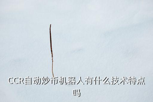 CCR自動炒幣機器人有什么技術特點嗎