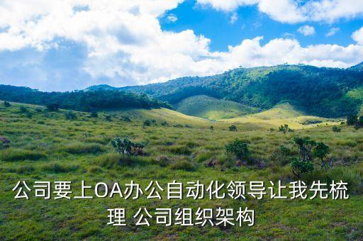 公司要上OA辦公自動(dòng)化領(lǐng)導(dǎo)讓我先梳理 公司組織架構(gòu)