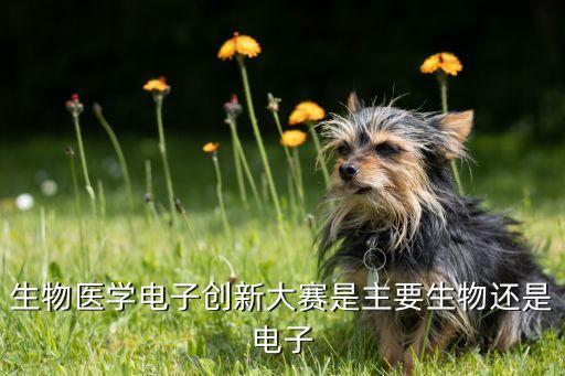醫(yī)療技術(shù)創(chuàng)新大賽，科技創(chuàng)新大賽