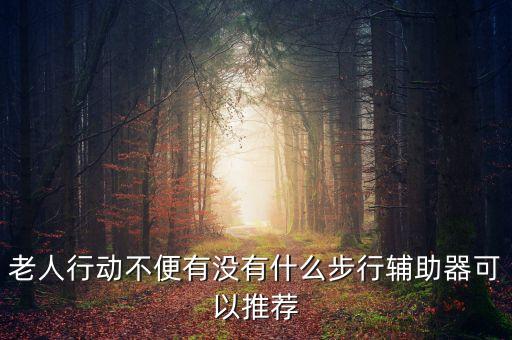 老人行動不便有沒有什么步行輔助器可以推薦