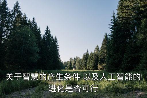 關(guān)于智慧的產(chǎn)生條件 以及人工智能的進(jìn)化是否可行