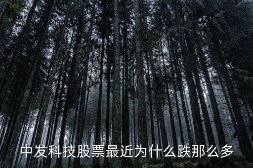 中發(fā)科技股票最近為什么跌那么多