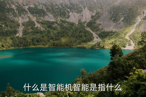 機(jī)器智能是指，什么是智能機(jī)智能是指什么