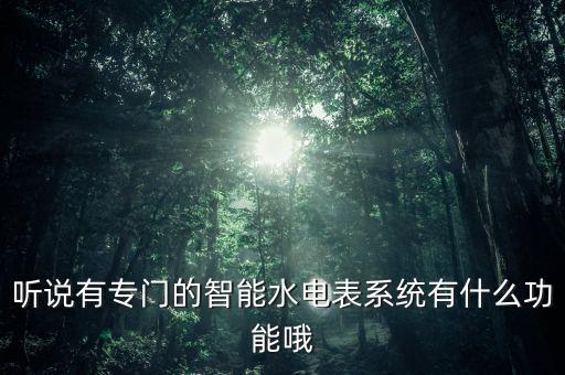 智能水電管理系統(tǒng)，聽(tīng)說(shuō)有專門(mén)的智能水電表系統(tǒng)有什么功能哦