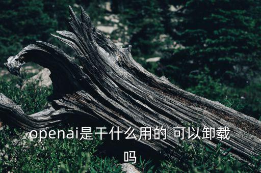 openai是干什么用的 可以卸載嗎