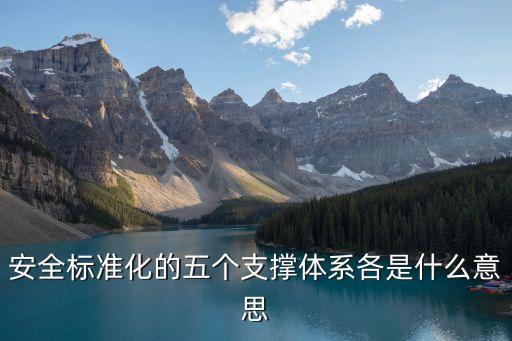 安全標(biāo)準(zhǔn)化的五個支撐體系各是什么意思
