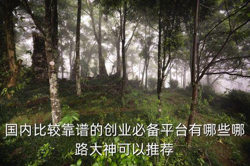 國(guó)內(nèi)比較靠譜的創(chuàng)業(yè)必備平臺(tái)有哪些哪路大神可以推薦