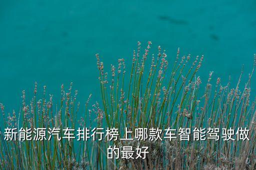 新能源汽車排行榜上哪款車智能駕駛做的最好