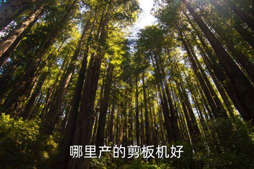 哪里產(chǎn)的剪板機好