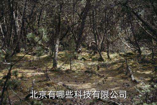 北京新品科技有限公司，北京有哪些科技有限公司