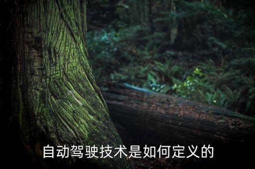自動駕駛技術(shù)是如何定義的