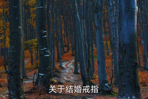 關(guān)于結(jié)婚戒指