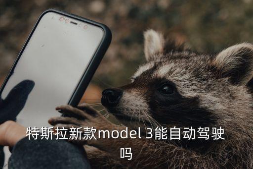 特斯拉新款model 3能自動(dòng)駕駛嗎