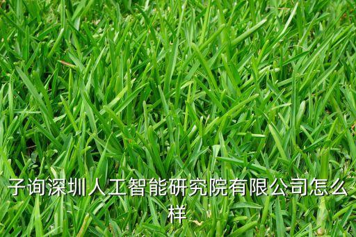 子詢深圳人工智能研究院有限公司怎么樣