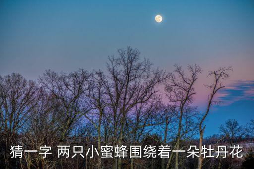 猜一字 兩只小蜜蜂圍繞著一朵牡丹花