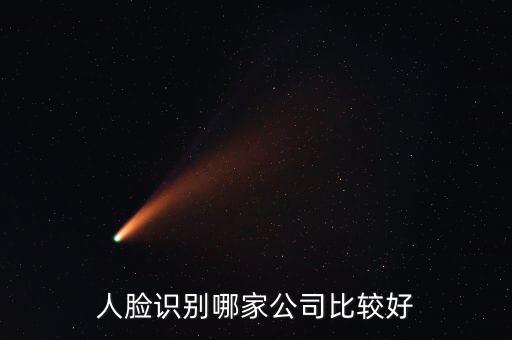 人臉識(shí)別哪家公司比較好