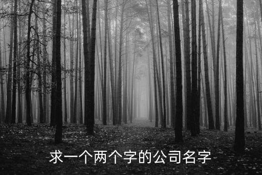 求一個(gè)兩個(gè)字的公司名字