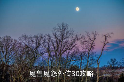 魔獸魔怨外傳30攻略