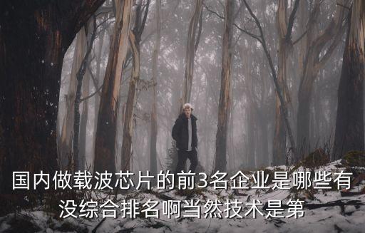 國(guó)內(nèi)做載波芯片的前3名企業(yè)是哪些有沒(méi)綜合排名啊當(dāng)然技術(shù)是第