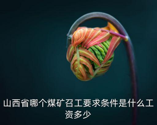 山西省哪個(gè)煤礦召工要求條件是什么工資多少