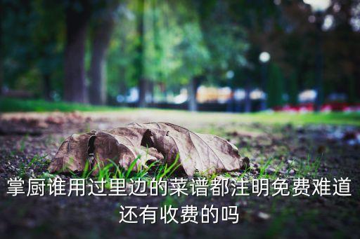 掌廚誰(shuí)用過里邊的菜譜都注明免費(fèi)難道還有收費(fèi)的嗎