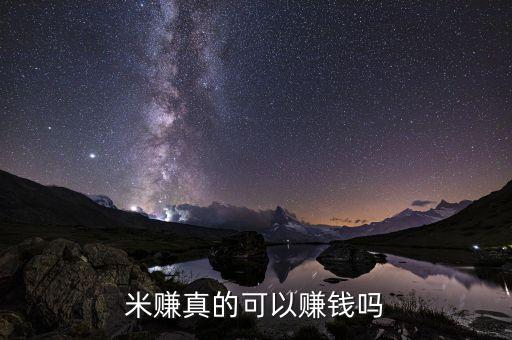 米賺真的可以賺錢嗎