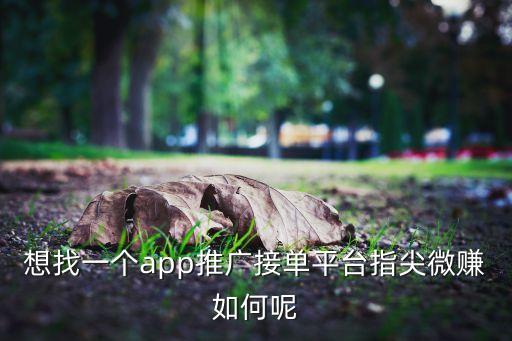 app推廣80元一單，想找一個(gè)app推廣接單平臺(tái)指尖微賺如何呢