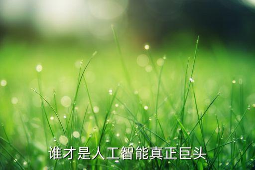 誰才是人工智能真正巨頭