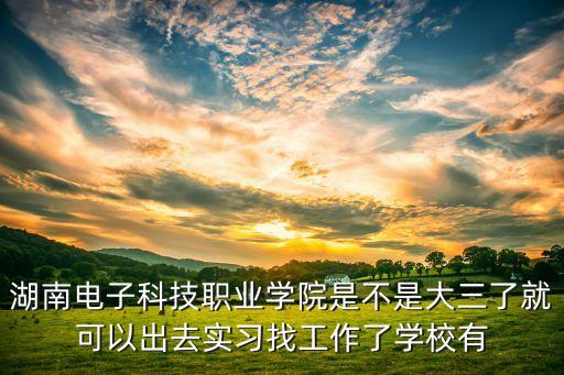 湖南電子科技職業(yè)學(xué)院是不是大三了就可以出去實(shí)習(xí)找工作了學(xué)校有