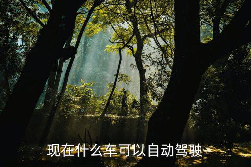 可以自動(dòng)駕駛的車型，哪些車可以自動(dòng)駕駛