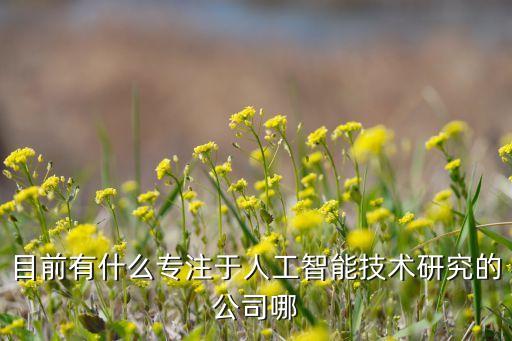 目前有什么專注于人工智能技術(shù)研究的公司哪