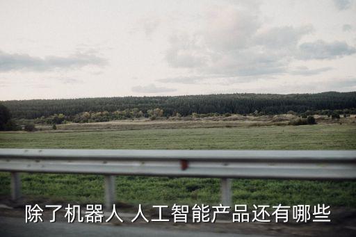 除了機(jī)器人 人工智能產(chǎn)品還有哪些