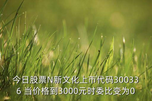 上海交易中心邁童科技今天股價(jià)，今日股票N新文化上市代碼300336 當(dāng)價(jià)格到3000元時(shí)委比變?yōu)?