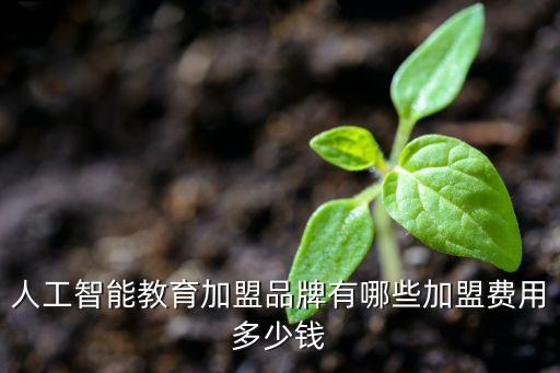 人工智能教育加盟品牌有哪些加盟費用多少錢