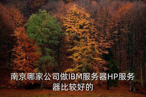 南京哪家公司做IBM服務(wù)器HP服務(wù)器比較好的