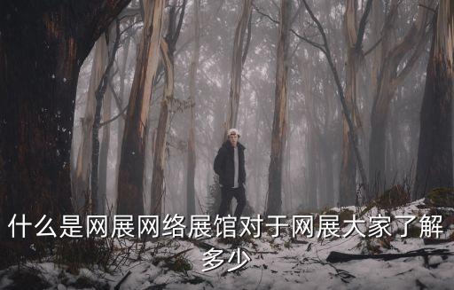 什么是網(wǎng)展網(wǎng)絡(luò)展館對(duì)于網(wǎng)展大家了解多少