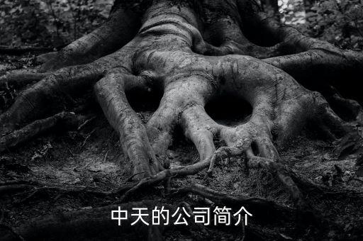 中天的公司簡介