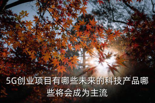 5G創(chuàng)業(yè)項(xiàng)目有哪些未來(lái)的科技產(chǎn)品哪些將會(huì)成為主流