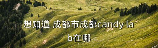 想知道 成都市成都candy lab在哪