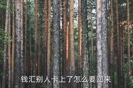 錢匯別人卡上了怎么要回來