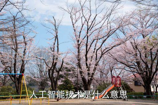 人工智能技術(shù)是什么意思