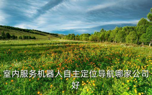 機(jī)器人 視覺 定位，目前國內(nèi)科技公司專攻機(jī)器人定位導(dǎo)航解決方案的有哪些